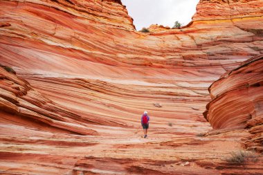 Vermillion Cliffs Vahşi Doğa Bölgesi, Utah ve Arizona 'dan Çakal Buttes.