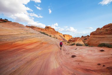 Vermillion Cliffs Vahşi Doğa Bölgesi, Utah ve Arizona 'dan Çakal Buttes.