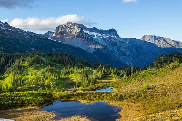 Lago Serenidad Las Montañas Temporada Verano Hermosos Paisajes Naturales —  Fotos de Stock