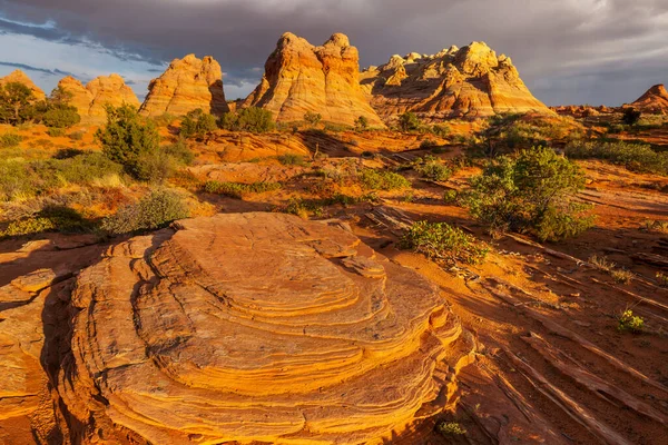 Coyote Buttes Della Vermillion Cliffs Wilderness Area Utah Arizona — Foto Stock