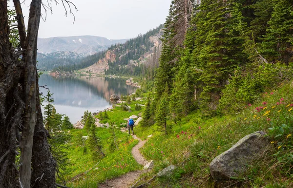 Backpacker Den Sommerlichen Bergen — Stockfoto