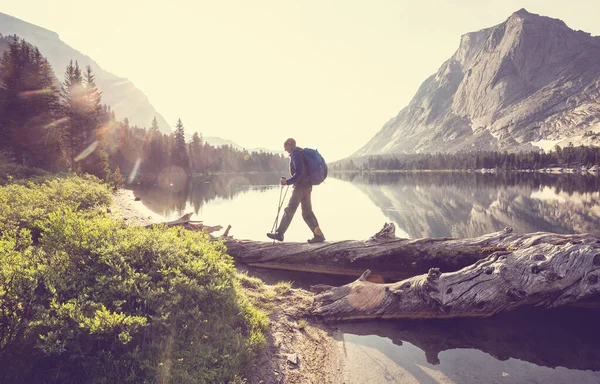 Man Een Wandeling Zomerbergen Prachtige Natuurlandschappen — Stockfoto