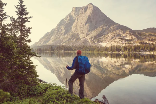 Человек Походе Летних Горах Красивые Природные Пейзажи — стоковое фото