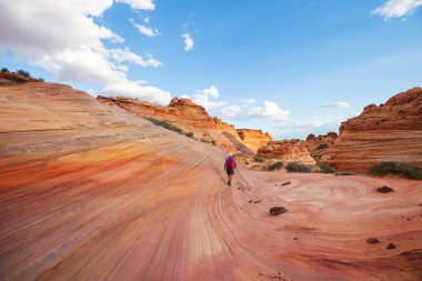 Vermillion Cliffs Vahşi Doğa Bölgesi, Utah ve Arizona 'dan Çakal Buttes.