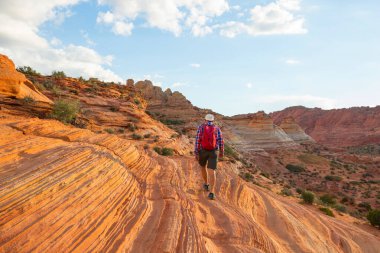 Vermillion Cliffs Vahşi Doğa Bölgesi, Utah ve Arizona 'dan Çakal Buttes.