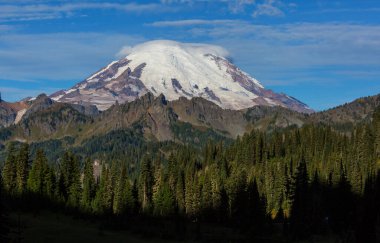 Mount Rainier Ulusal Parkı, Washington