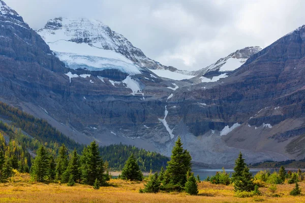 Чудовий Осінній Сезон Канадських Горах Падіння — стокове фото
