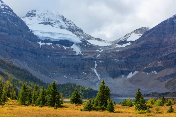 Prachtig Herfstseizoen Canadese Bergen Achtergrondinformatie — Stockfoto