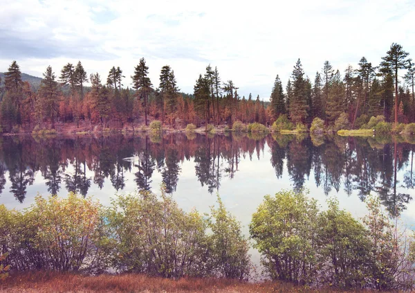 Piękne Jezioro Sezonie Jesiennym — Zdjęcie stockowe
