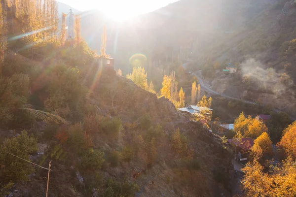 Sarı Tonlarda Sonbahar Sahnesi Sonbahar Arkaplanı — Stok fotoğraf