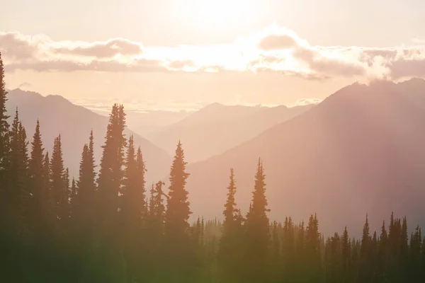 Scenic Zonsondergang Bergen Mooie Natuurlijke Achtergrond — Stockfoto