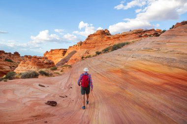 Vermillion Cliffs Vahşi Doğa Bölgesi, Utah ve Arizona 'dan Çakal Buttes.