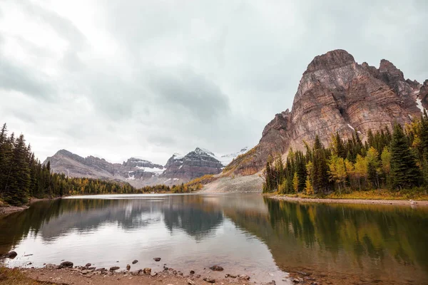 Bela Temporada Outono Nas Montanhas Canadenses Fundo Queda — Fotografia de Stock