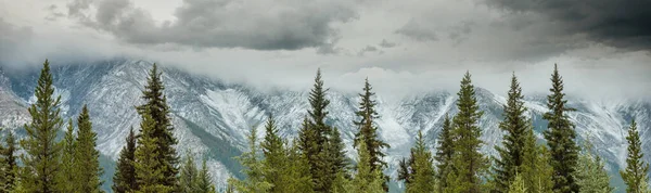 Yaz Mevsiminde Kanada Kayalıkları Nda Resim Gibi Dağ Manzarası — Stok fotoğraf