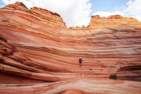 Buttes Coiote Das Falésias Vermillion Wilderness Area Utah Arizona — Fotografia de Stock