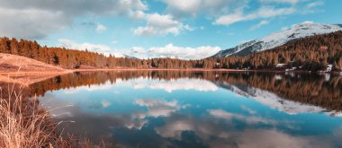Colorado 'daki Dağ Manzarası Rocky Dağları, Colorado, ABD.