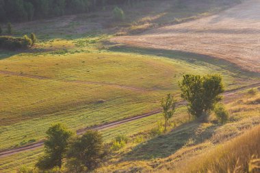 Güneşli bir sabah çayırında yol