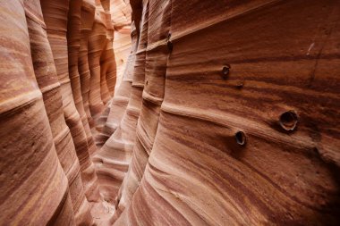 Utah, ABD 'deki Grand Staircase Escalante Ulusal Parkı' ndaki Slot Kanyonu. Utah çöllerinde alışılmadık renkli kumtaşı oluşumları yürüyüşçüler için popülerdir..