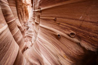 Utah, ABD 'deki Grand Staircase Escalante Ulusal Parkı' ndaki Slot Kanyonu. Utah çöllerinde alışılmadık renkli kumtaşı oluşumları yürüyüşçüler için popülerdir..