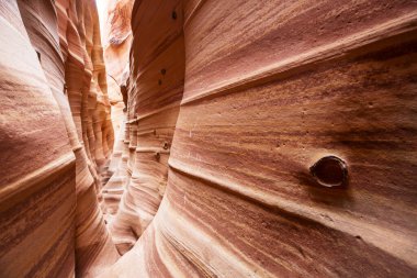 Utah, ABD 'deki Grand Staircase Escalante Ulusal Parkı' ndaki Slot Kanyonu. Utah çöllerinde alışılmadık renkli kumtaşı oluşumları yürüyüşçüler için popülerdir..