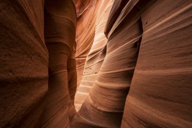 Utah, ABD 'deki Grand Staircase Escalante Ulusal Parkı' ndaki Slot Kanyonu. Utah çöllerinde alışılmadık renkli kumtaşı oluşumları yürüyüşçüler için popülerdir..