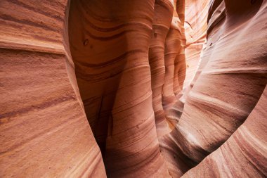 Utah, ABD 'deki Grand Staircase Escalante Ulusal Parkı' ndaki Slot Kanyonu. Utah çöllerinde alışılmadık renkli kumtaşı oluşumları yürüyüşçüler için popülerdir..