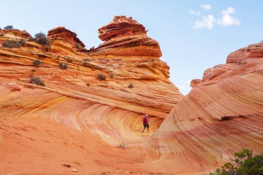 Vermillion Cliffs Vahşi Doğa Bölgesi, Utah ve Arizona 'dan Çakal Buttes.