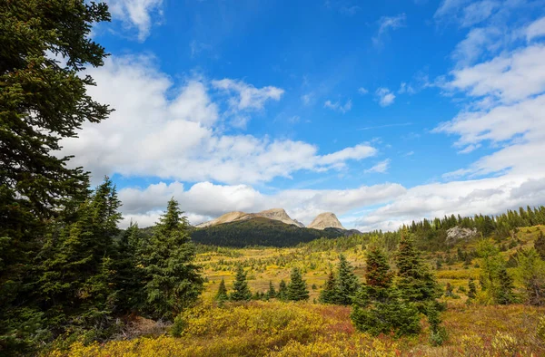 Vacker Höstsäsong Kanadensiska Berg Fall Bakgrund — Stockfoto