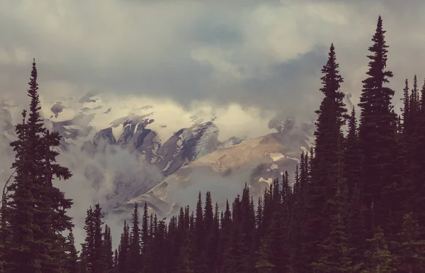 高い山の中で霧 美しい自然景観 — ストック写真