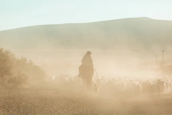 Gauchos Patagonien Argentinien — Stockfoto