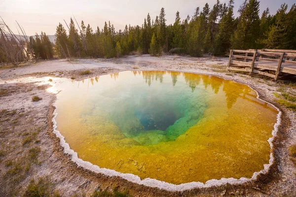 Colorida Piscina Morning Glory Famosa Fuente Termal Parque Nacional Yellowstone —  Fotos de Stock