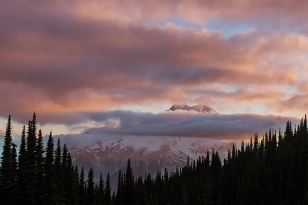 Schöner Berggipfel Der North Cascade Range Washington Usa — Stockfoto