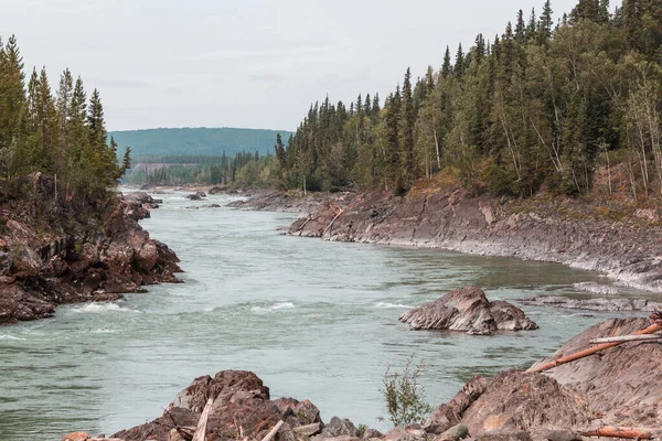 Rivière Yukon Saison Estivale Canada — Photo