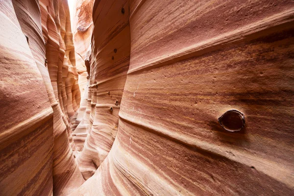 Slot Canyon Grand Staircase Escalante Nationalpark Utah Usa Ungewöhnlich Bunte — Stockfoto