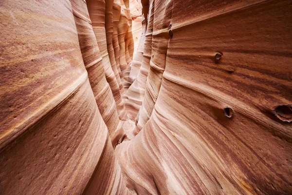 Slot Canyon Grand Staircase Escalante Nationalpark Utah Usa Ungewöhnlich Bunte — Stockfoto