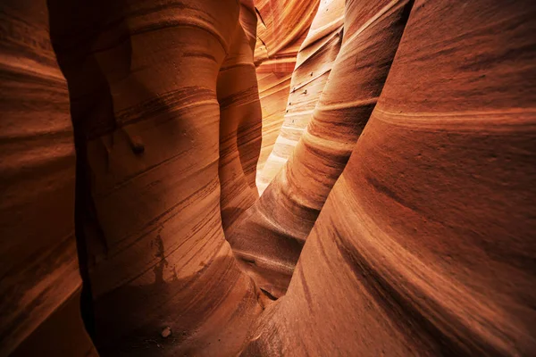 Slot Canyon Grand Staircase Escalante Nationalpark Utah Usa Ungewöhnlich Bunte — Stockfoto