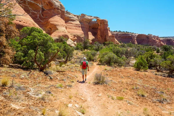 Natürliche Bogenbildung Colorado Usa — Stockfoto