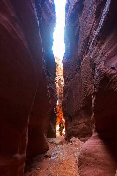 Kanion Szczelinowy Parku Narodowym Grand Staircase Escalante Utah Usa Niezwykłe — Zdjęcie stockowe