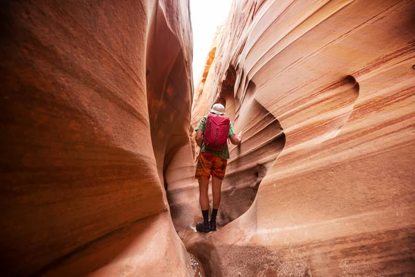 Ranura Cañón Grand Staircase Escalante National Park Utah Formaciones Inusuales —  Fotos de Stock