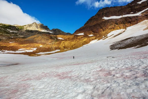 ハイカーは 米国ワシントン州の夏の山の中で雪の峠を歩く — ストック写真