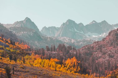Sierra Nevada Dağı 'nın manzarası. Sonbahar yaprakları. Kaliforniya, ABD.