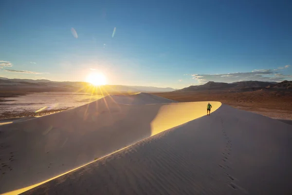 砂漠の砂丘の間でハイカー — ストック写真