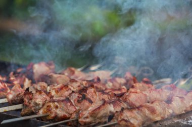 Barbekü Clos-up çekim, açık ateşte açık havada pişmiş.