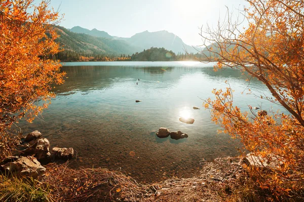 秋天美丽的湖水 — 图库照片