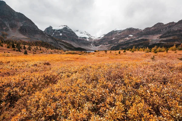 Hermosa Temporada Otoño Las Montañas Canadienses Fondo Caída — Foto de Stock