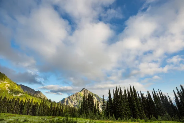 North Cascade Range, Washington, ABD 'deki güzel dağ zirvesi.