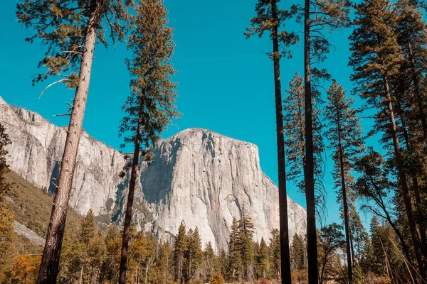 Güzel Yosemite Ulusal Parkı Manzaraları California — Stok fotoğraf