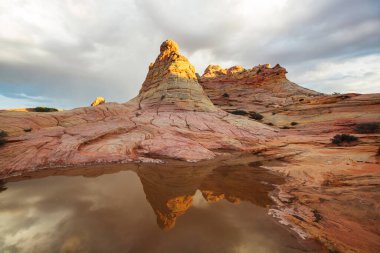 Vermillion Cliffs Vahşi Doğa Bölgesi, Utah ve Arizona 'dan Çakal Buttes.