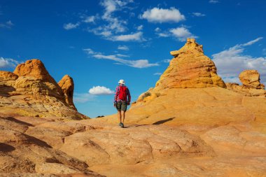 Vermillion Cliffs Wilderness Area, Utah ve Arizona 'nın fantastik manzara yürüyüşçüleri