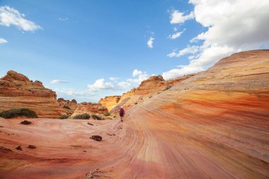Vermillion Cliffs Wilderness Area, Utah ve Arizona 'nın fantastik manzara yürüyüşçüleri